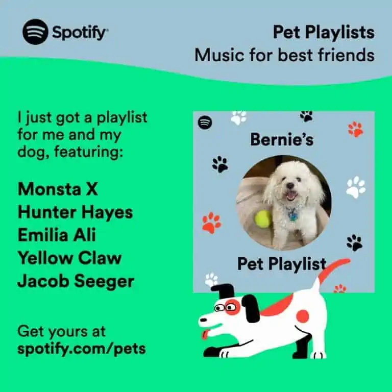 Instagram playlist card